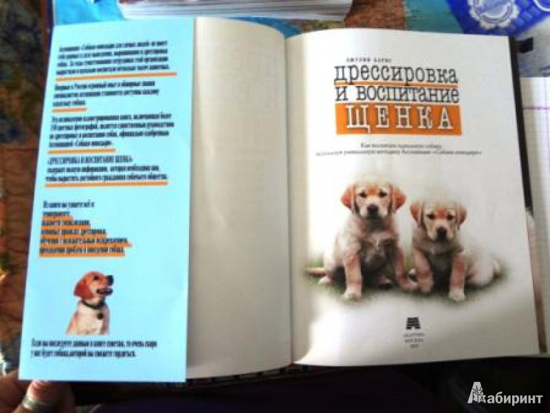 Сара уайтхед как воспитать щенка практическое руководство для детей и родителей купить