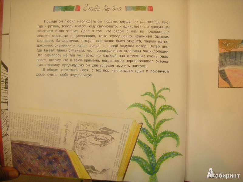 Иллюстрация № 11 к книге "История про воробья Антверпена, кота Михеева, столетника Васю и сороконожку Марью Семеновну с семьей", фотография, изображение, картинка
