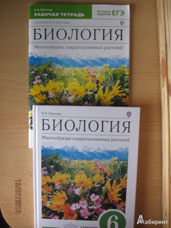Учебник пономарёва по биологии 6а класс