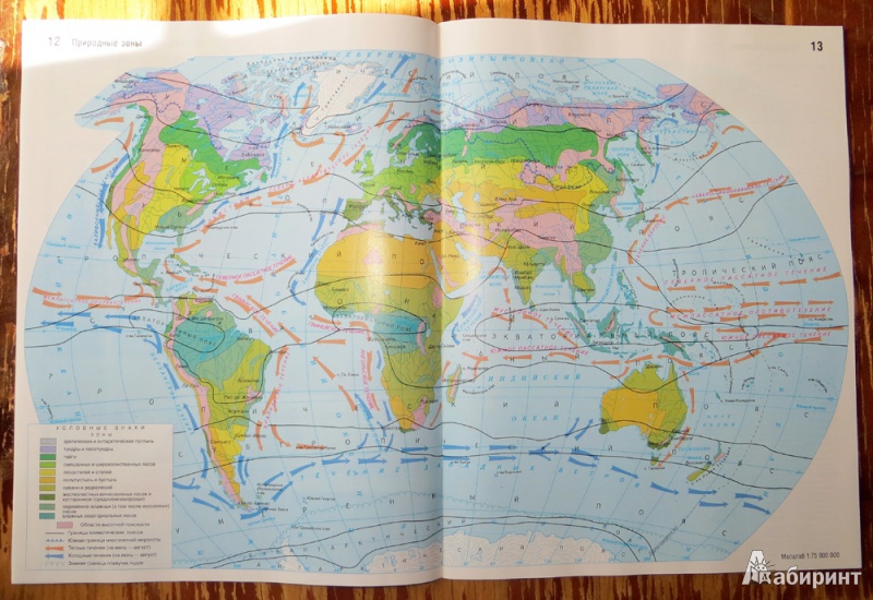 География материков и океанов 7 класс карта контурная