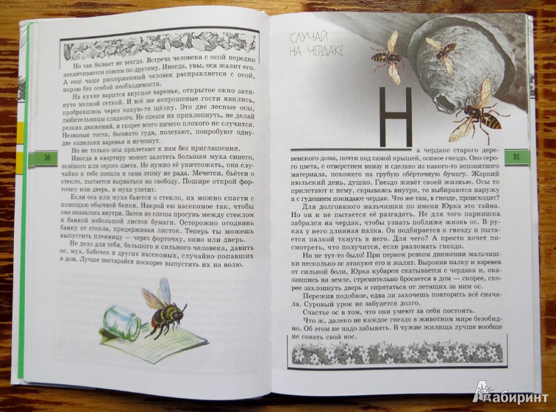 великан на поляне читать онлайн бесплатно первый рассказ Бесплатно читать онлайн рассказ первый великан поляне на