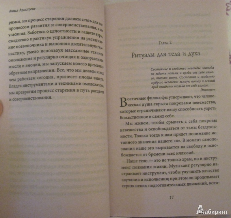 Око возрождения книга читать