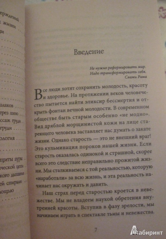 Око возрождения книга читать