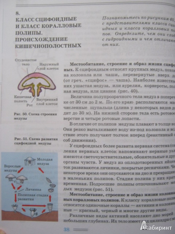 НИКИШОВ ШАРОВА БИОЛОГИЯ 7 8 КЛАСС СКАЧАТЬ БЕСПЛАТНО НИКИШОВ ШАРОВА БИОЛОГИЯ 7 8 КЛАСС СКАЧАТЬ БЕСПЛАТНО