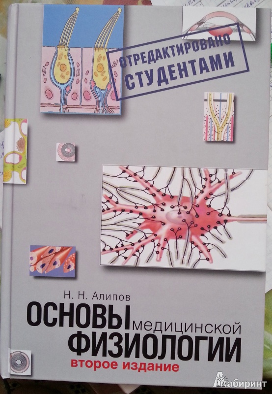 ebook the russian debutantes handbook