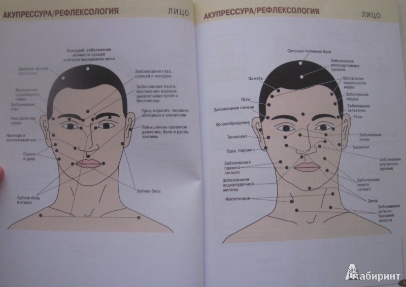 За какие органы отвечают прыщи на лице. Карта прыщей на лице у мужчин. Зоны на лице отвечающие за внутренние органы. Проекционные зоны на лице. Акупрессура точечный массаж ,атлас.