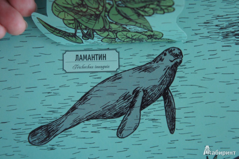 Что почитать? Обзор наших книг до года, от года до двух