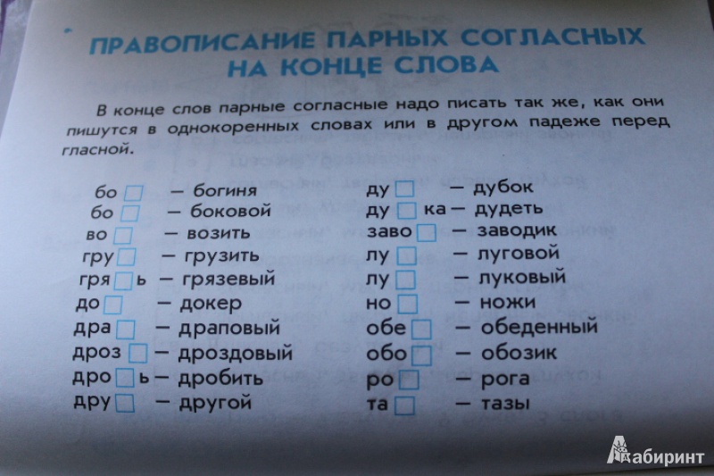 Дружок правила по русскому языку для начальных классов