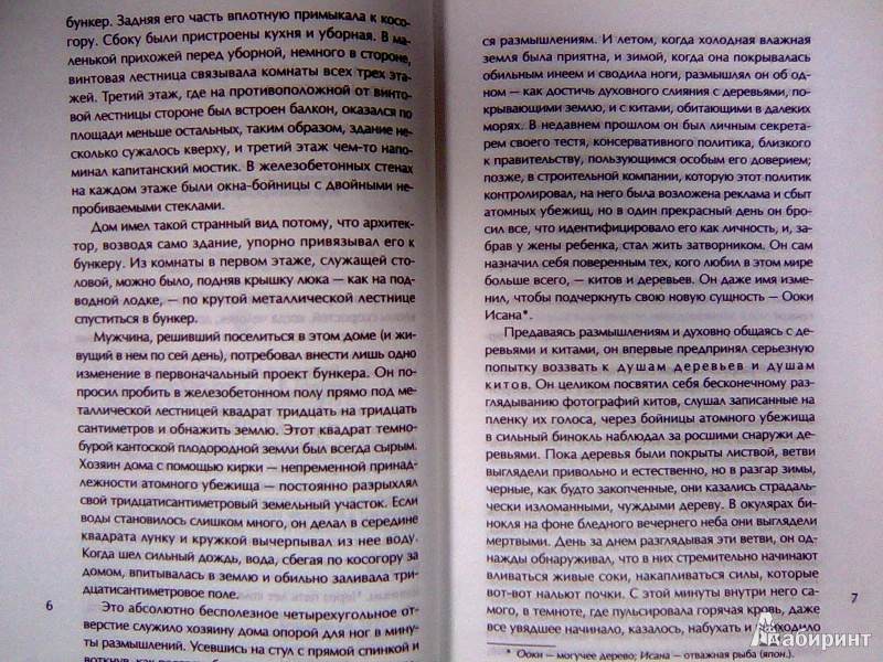 Объяли меня воды до души моей бездна заключила меня морскою травою обвита была голова моя