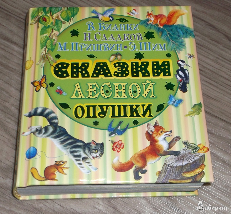 Книга лесного питомника образец