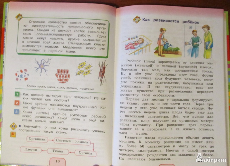 ПРЕЗЕНТАЦИИ ОКР МИР3 КЛАСС ФГОС ПОГЛАЗОВА СКАЧАТЬ БЕСПЛАТНО ПРЕЗЕНТАЦИИ ОКР МИР3 КЛАСС ФГОС ПОГЛАЗОВА СКАЧАТЬ БЕСПЛАТНО