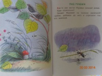 Изображение отзыва
