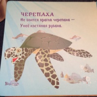 Изображение отзыва