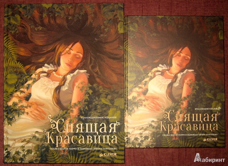Иллюстрация 5 из 7 для Спящая красавица - Шарль Перро | Лабиринт - книги. Источник: Трухина Ирина