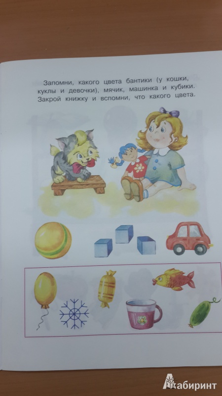 Книга запомни картинки