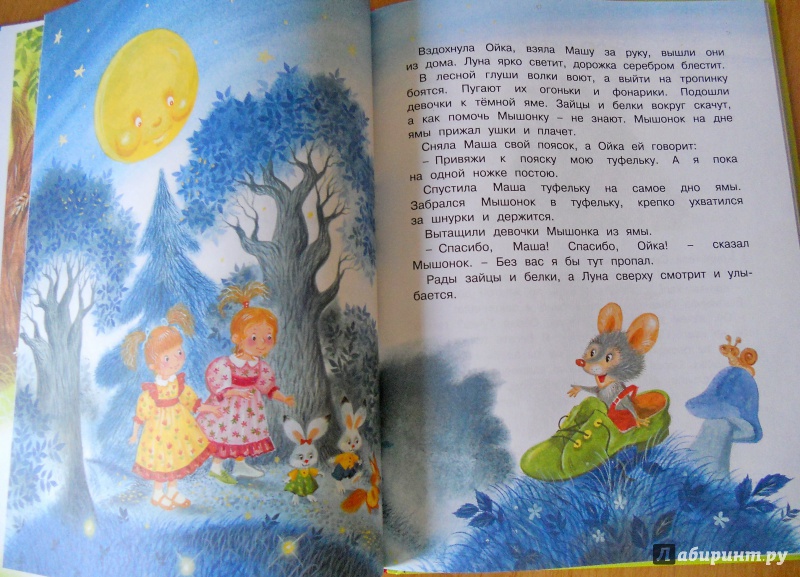 Иллюстрация 5 из 14 для Маша и Ойка - Софья Прокофьева | Лабиринт - книги. Источник: Дружкова Людмила Леонидовна