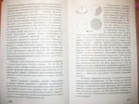 Иллюстрация 2 из 22 для Домашняя школа мышления - Венгер, Венгер ...