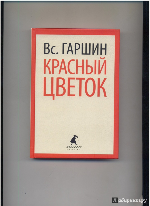 Всеволод гаршин фото писателя