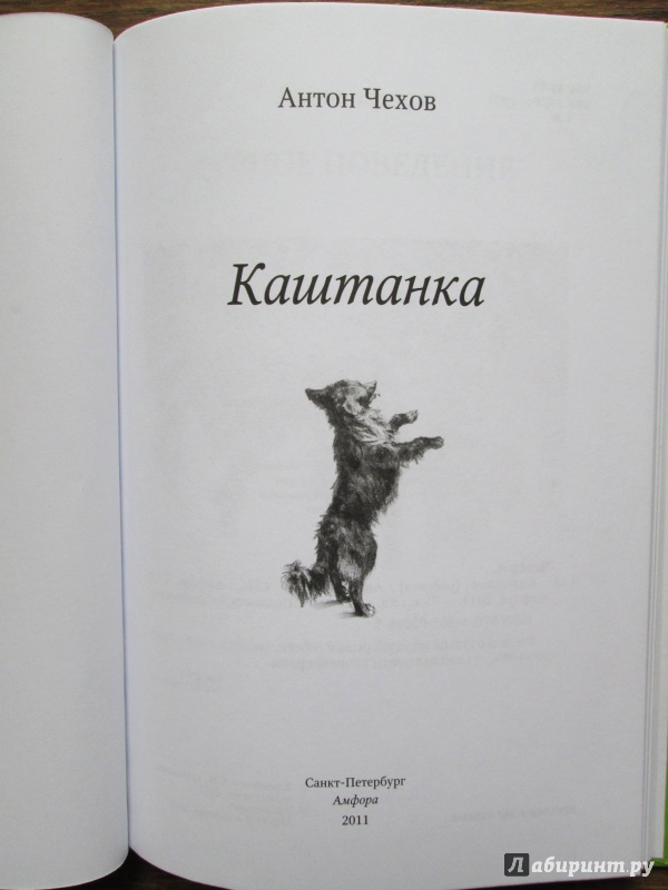 Фото книги каштанка чехов