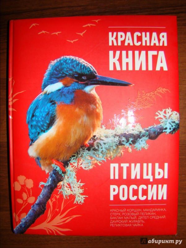 Красная книга птицы