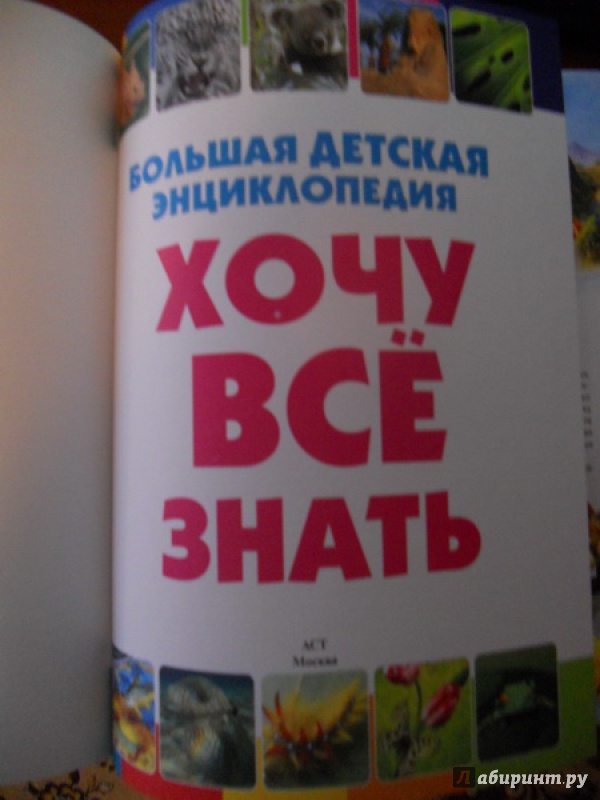 Книга: "Хочу все знать. Большая детская энциклопедия" - Дарья Ермакович ...