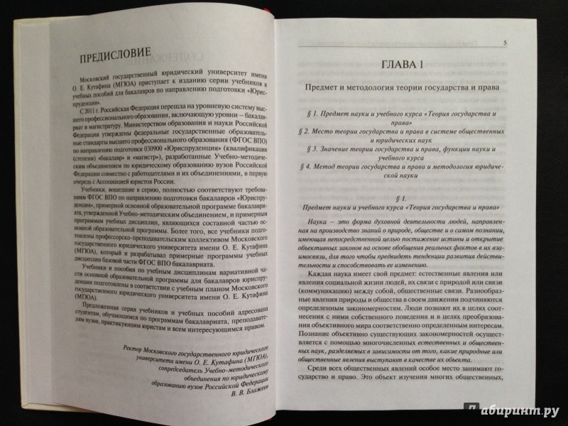 Н теория государства и. Теория государства и права учебник Морозова. Теория государства и права Радько Лазарев Морозова. Теория государства и права учебник МГЮА.