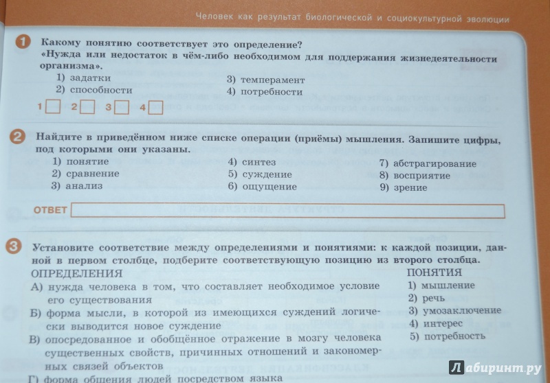 обществознание праверочные работы 10 класс