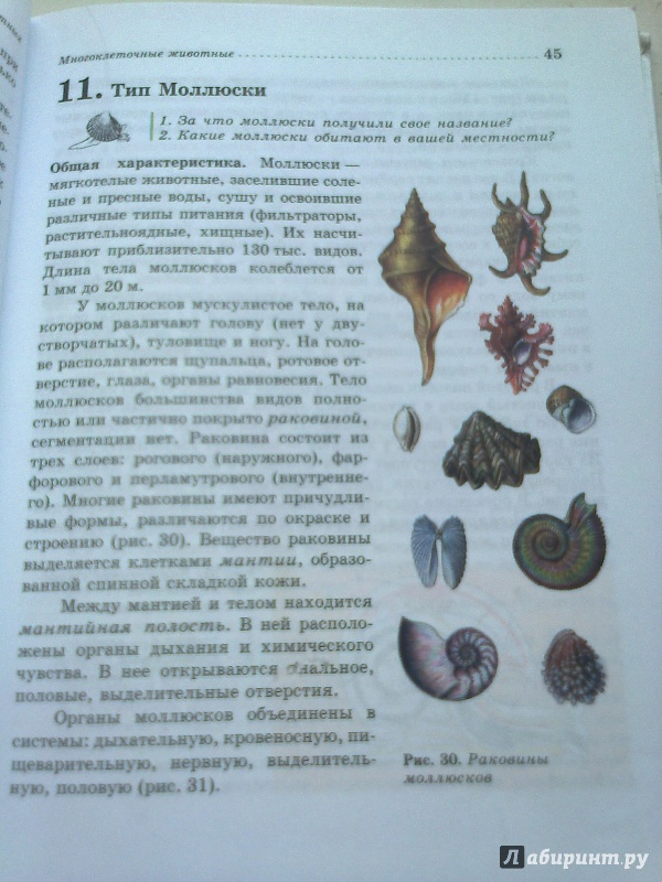 Учебник биология латюшин 7 класс