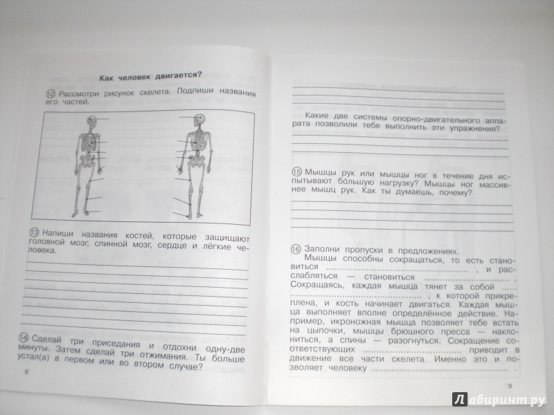 Гдз По 4 Класс Окружающий Мир Рабочая Тетрадь 2 Часть Федотова Гдз По 4 Класс Окружающий Мир Рабочая Тетрадь 2 Часть Федотова