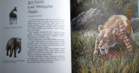 Книга: "Палеонтология в картинках" - Ирина Яковлева. Купить книгу ...