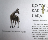 Палеонтология в картинках книга