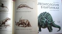 Книга: "Палеонтология в картинках" - Ирина Яковлева. Купить книгу ...