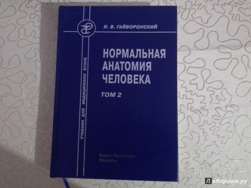 анатомия гайворонский 1 том скачать