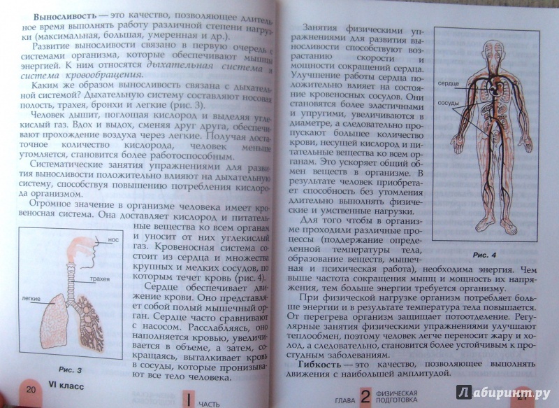 Физкультура 8 класс учебник. Матвеев физическая культура 6-7 класс. Учебник по физкультуре Матвеев.