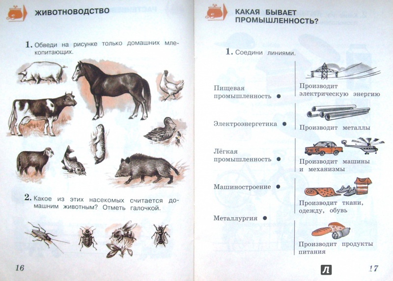 Окружающий мир тест животноводство. Отметь галочкой продукты животноводства. Тетрадь для самопроверки по окружающему миру 3 класс Плешаков. Окружающий мир тетрадь для тренировки и самопроверки 3 класс. Окружающий мир 3 класс тетрадь для тренировки и самопроверки 2 часть.