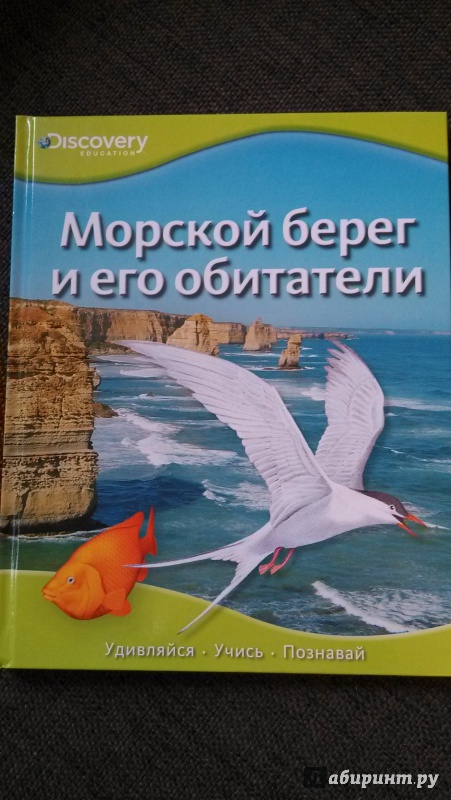 Книга морская практика в картинках