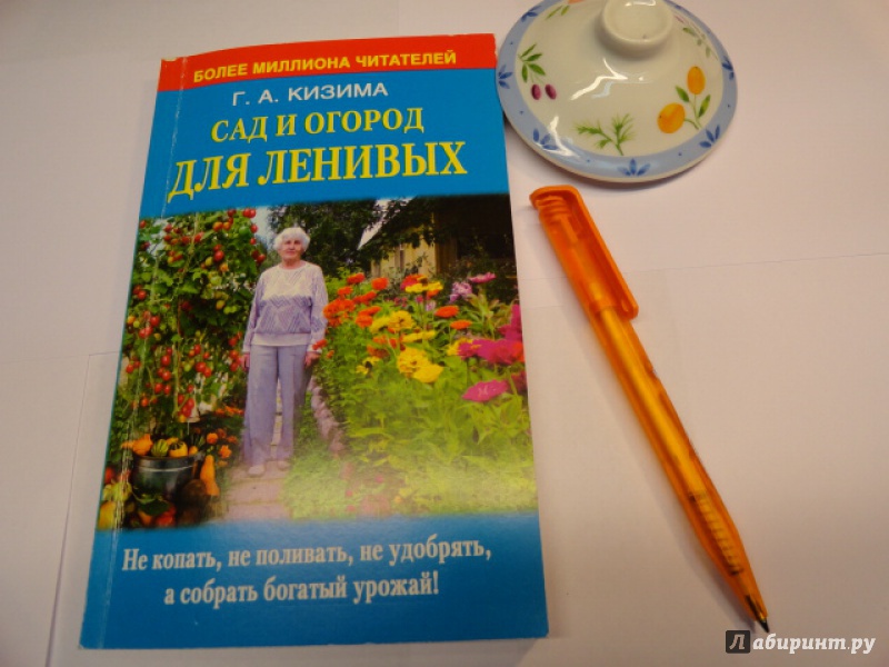 ГАЛИНА КИЗИМА САД И ОГОРОД ДЛЯ ЛЕНИВЫХ СКАЧАТЬ БЕСПЛАТНО ГАЛИНА КИЗИМА САД И ОГОРОД ДЛЯ ЛЕНИВЫХ СКАЧАТЬ БЕСПЛАТНО