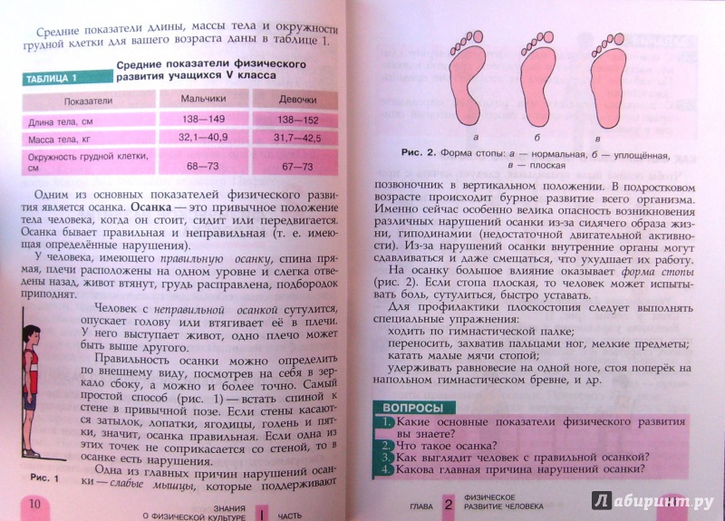 Учебник матвеев физкультура 5 класс