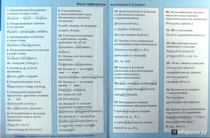 Русский 7 класс фгос. Орфограммы русского языка 7 класс. Орфограммы по русскому языку ладыженская. Орфограммы за 5 и 6 классы. Орфограммы за 7 класс по русскому языку.