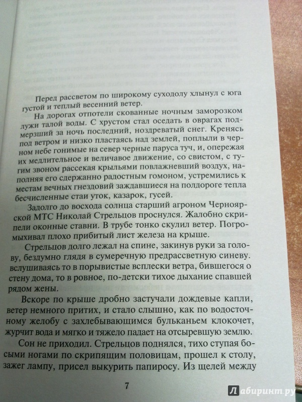 Донские рассказы в языковом плане обращены