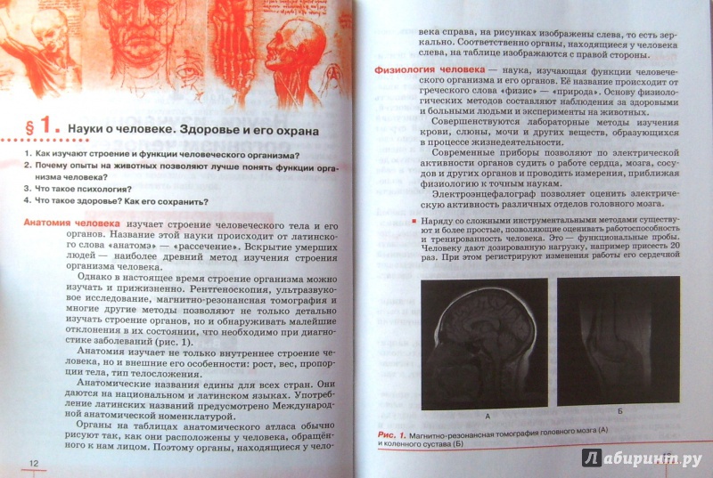 Биология 8 класс тпо гдз колесов маш беляев издательство 2018 Биология 8 класс тпо гдз колесов маш беляев издательство 2018