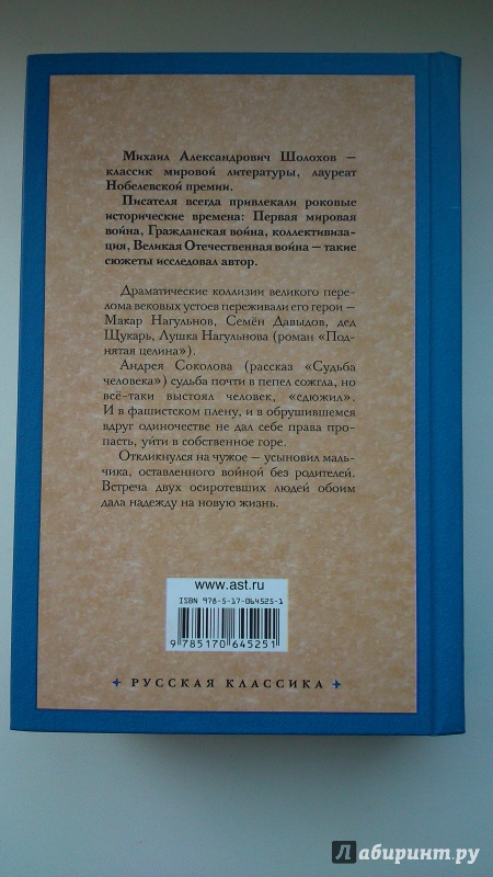 План содержания судьба человека