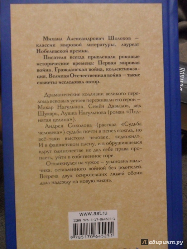 План рассказа судьба человека 20 пунктов