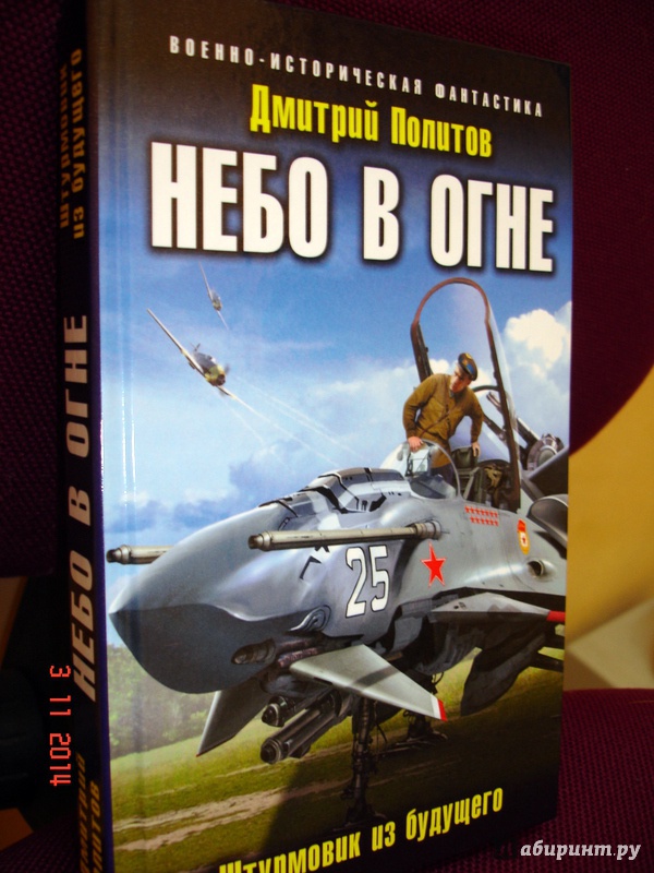 Политов штурмовик из будущего. Политов Дмитрий небо в огне Штурмовик из будущего 2. Штурмовик из будущего.