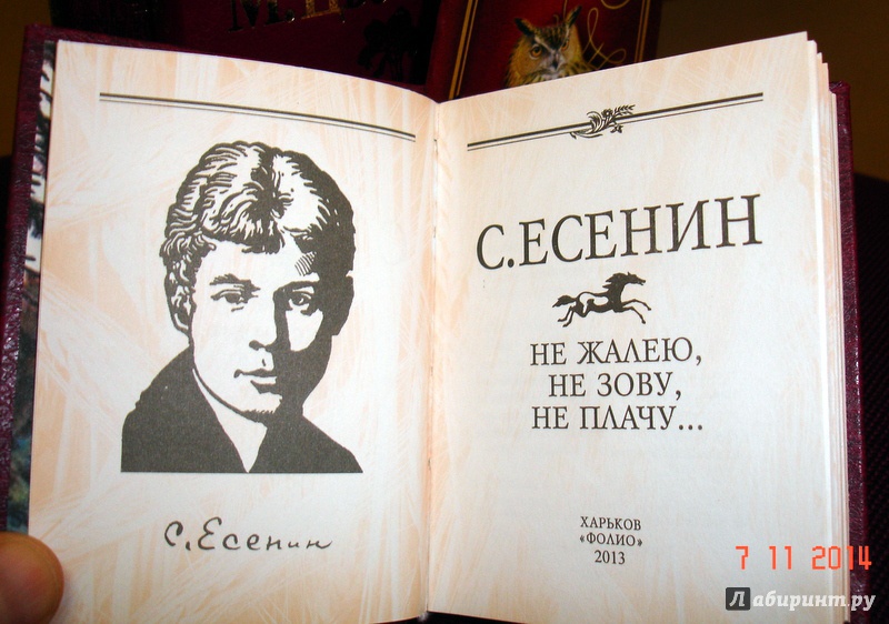 Не жалею не зову не плачу. Не жалею не зову не плачу Есенин. Есенин не жалею. Есенин не жалею не зову. Сергей Есенин не жалею не зову не плачу.