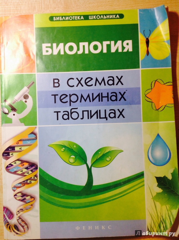 Справочник по биологии. Биология таблица. Биология в таблицах и схемах. Биология схемы. Биология для школьников.