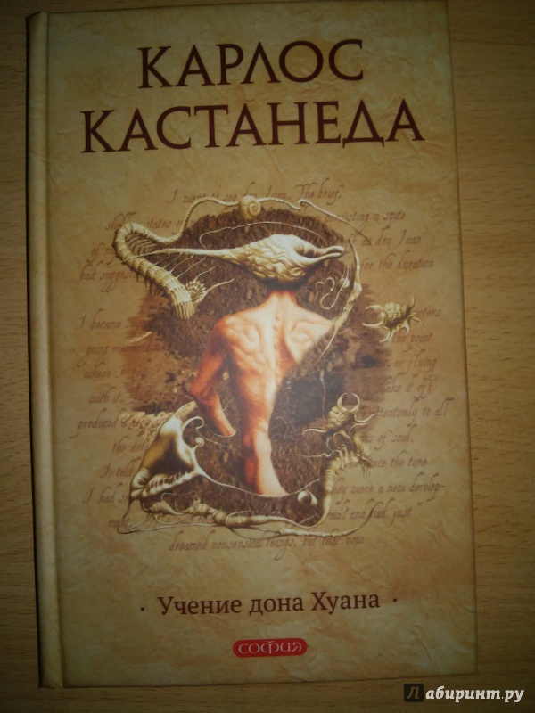 Скачать бесплатно книгу карлоса кастанеды искусство сновидения