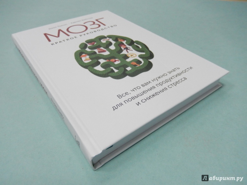Мозг краткое руководство все что вам нужно знать для повышения продуктивности и снижения стресса