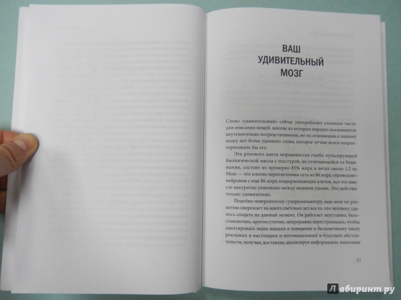 Мозг краткое руководство все что вам нужно знать для повышения продуктивности и снижения стресса