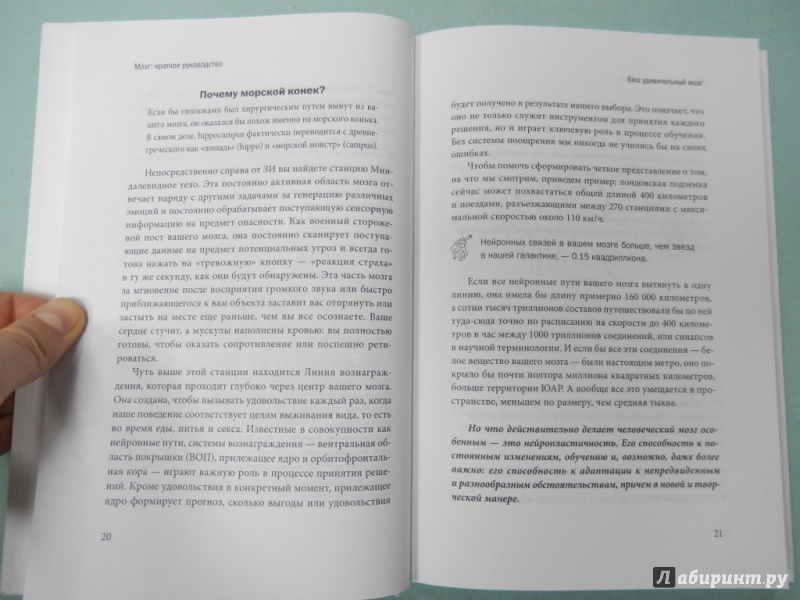 Мозг краткое руководство все что вам нужно знать для повышения продуктивности и снижения стресса